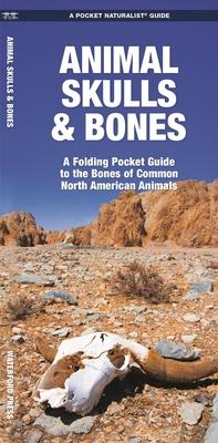 Animal Skulls & Bones Laminated: A Laminated Folding Guide to the Bones of Common North American Animals