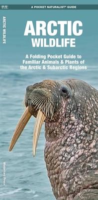 Arctic Wildlife: A Folding Pocket Guide to Familiar Animals & Plants of the Arctic & Subarctic Regions Subscription