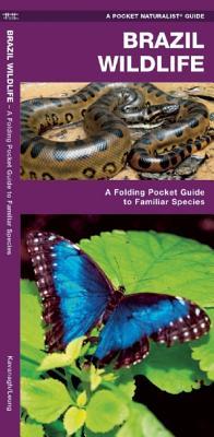 Brazil Wildlife: A Folding Pocket Guide to Familiar Animals