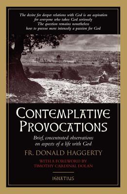 Contemplative Provocations: Brief, Concentrated Observations on Aspects of a Life with God Subscription