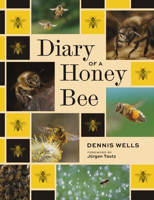 Diary of a Honey Bee Subscription