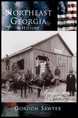 Northeast Georgia: A History