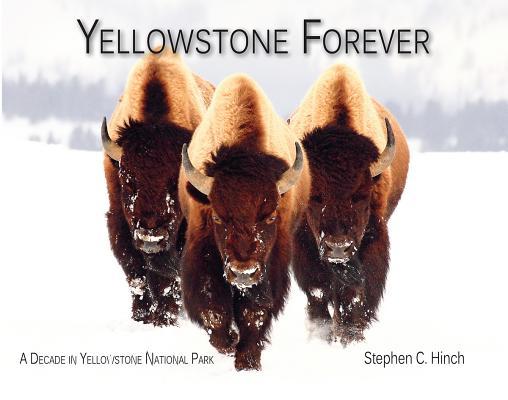 Yellowstone Forever: A Decade in Yellowstone National Park