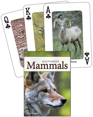 Mammals of the Southwest