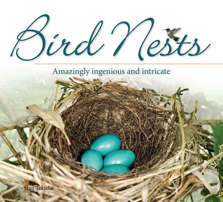 Bird Nests: Amazingly Ingenious and Intricate