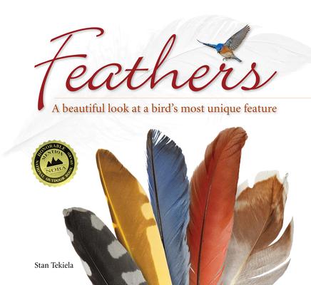 Feathers: A Beautiful Look at a Bird's Most Unique Feature Subscription