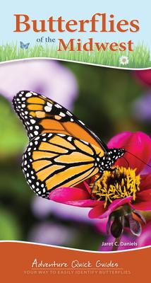 Butterflies of the Midwest: Identify Butterflies with Ease