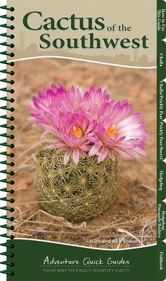 Cactus of the Southwest: Your Way to Easily Identify Cacti