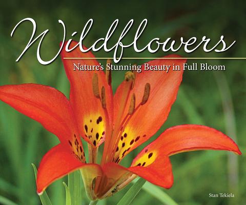 Wildflowers: Nature's Stunning Beauty on Display