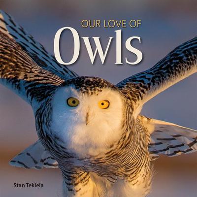 Our Love of Owls