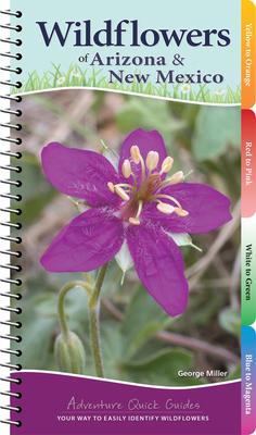 Wildflowers of Arizona & New Mexico: Your Way to Easily Identify Wildflowers