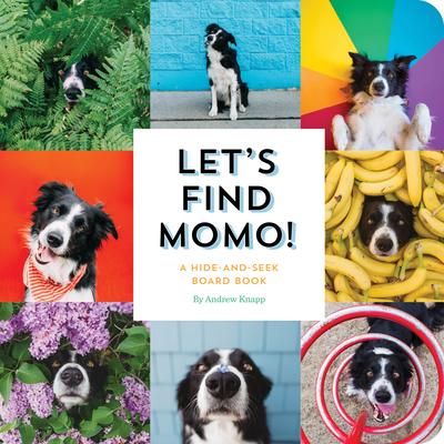 Let's Find Momo!: A Hide-And-Seek Board Book