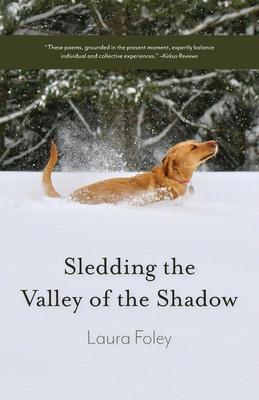 Sledding the Valley of the Shadow