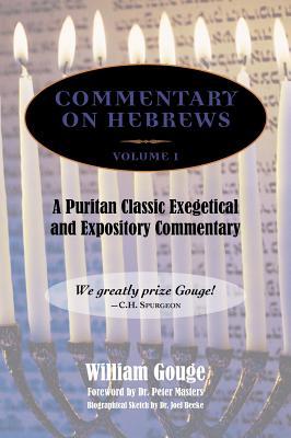 Commentary on Hebrews: Exegetical and Expository - Vol. 1 (Heb. 1-7)