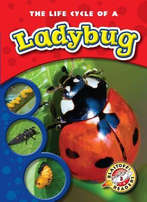 The Life Cycle of a Ladybug