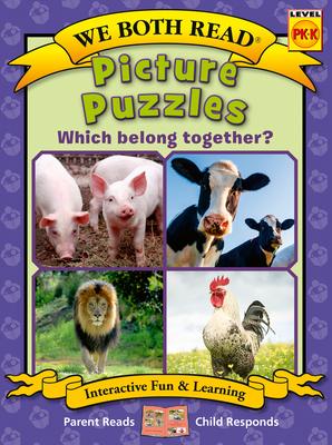 Picture Puzzles