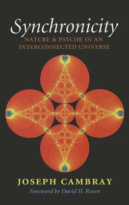 Synchronicity: Nature and Psyche in an Interconnected Universe Volume 15