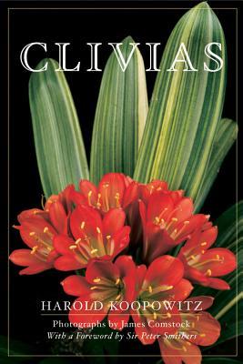 Clivias Subscription