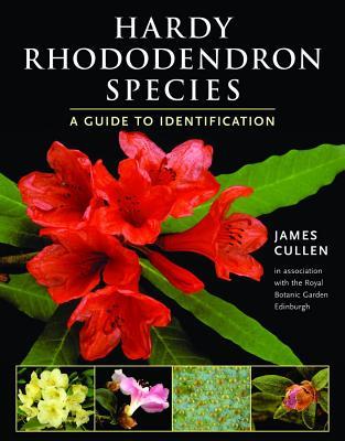 Hardy Rhododendron Species: A Guide to Identification