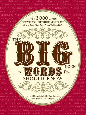 The Big Book of Words You Should Know: Over 3,000 Words Every Person Should Be Able to Use (and a Few That You Probably Shouldn't)