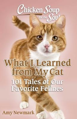 Chicken Soup for the Soul: What I Learned from My Cat: 101 Tales of Our Favorite Felines Subscription