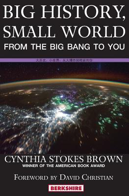 Big History, Small World: From the Big Bang to You