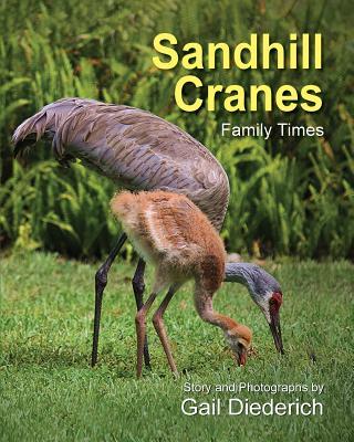 Sandhill Cranes, Family Times