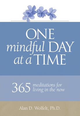 One Mindful Day at a Time: 365 Meditations on Living in the Now