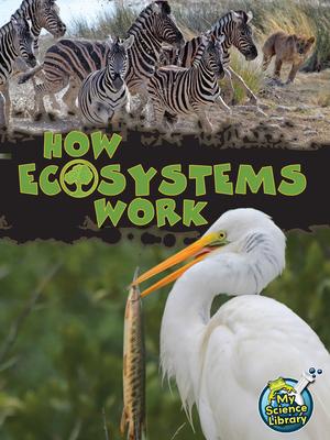 How Ecosystems Work