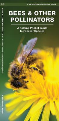 Bees & Other Pollinators: A Folding Pocket Guide to Familiar Species