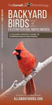 Backyard Birds of Eastern/Central North America: A Folding Pocket Guide to Common Backyard Birds Subscription