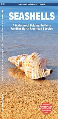 Seashells: A Folding Guide to Familiar North American Species