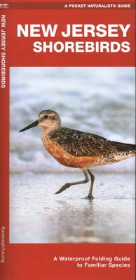 New Jersey Shorebirds: A Folding Guide to Familiar Species