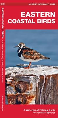 Eastern Coastal Birds: A Folding Guide to Familiar Species