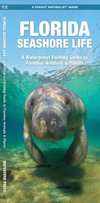 Florida Seashore Life: A Folding Guide to Familiar Animals & Plants