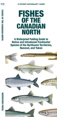 Fishes of the Canadian North: A Folding Guide to Native and Introduced Freshwater Species of the Northwest Territories, Nunavut and Yukon