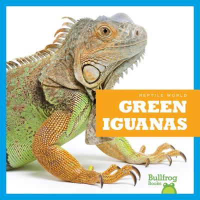 Green Iguanas