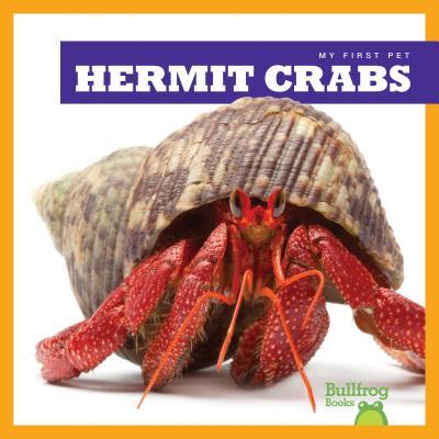 Hermit Crabs