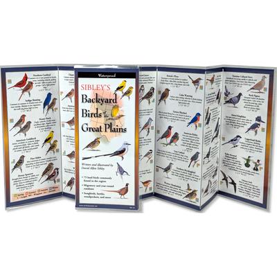 Sibley's Backyard Birds of the Great Plains Subscription