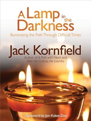 A Lamp in the Darkness: Illuminating the Path Through Difficult Times [With CD (Audio)]