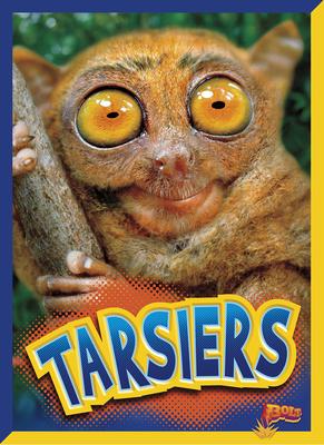 Tarsiers