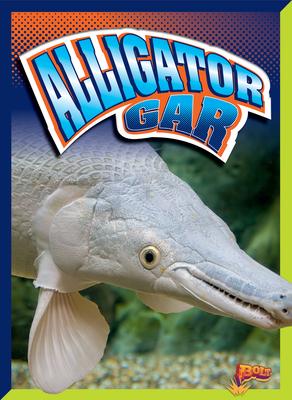 Alligator Gar