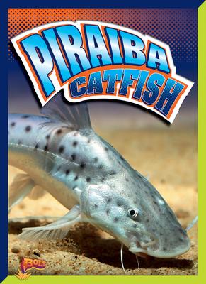 Piraiba Catfish