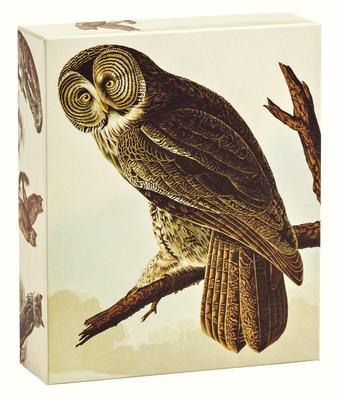 Audubon Owls: Quicknotes