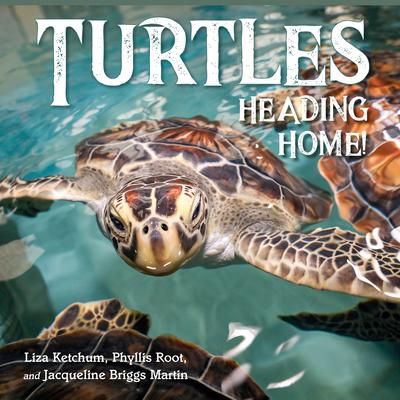 Turtles Heading Home! Subscription