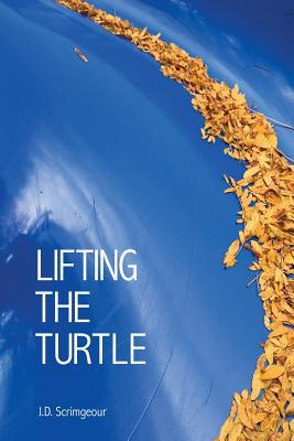 Lifting the Turtle