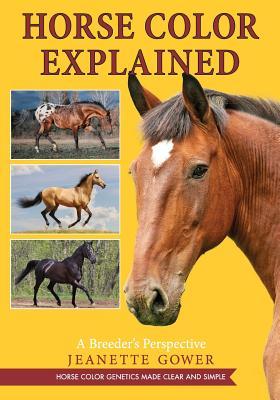 Horse Color Explained: A Breeder's Perspective