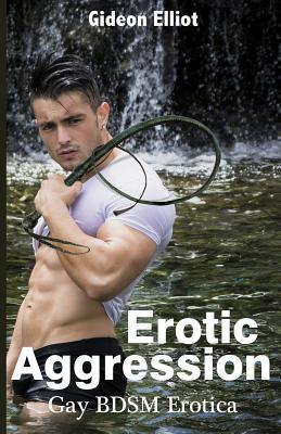 Erotic Aggression: Gay BDSM Erotica