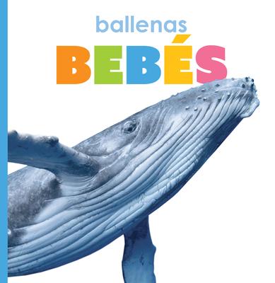 Ballenas Bebs