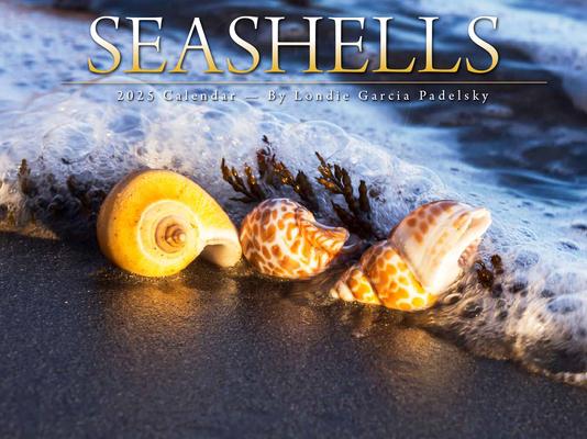 Cal- Seashells